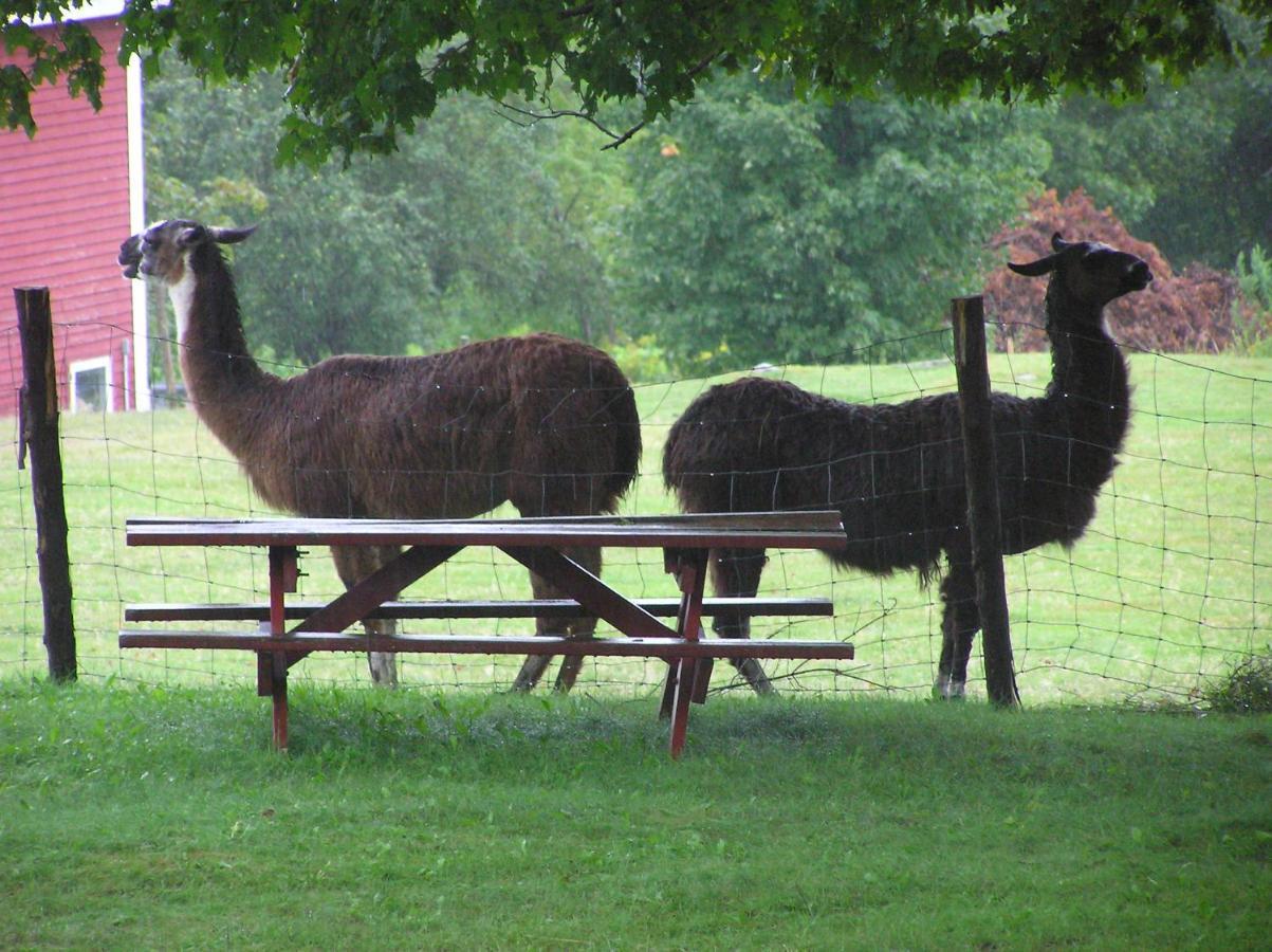 Maple Hill Farm Inn Аугуста Екстериор снимка